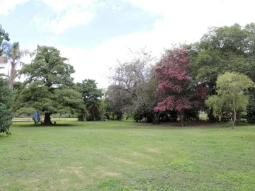 REDUCED - Ballantyne Park  -  7.9 Acres - REDUCED 