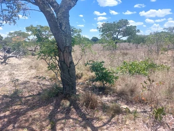 Spacious 15 Hectare Residential Land for Sale in Masvingo Province